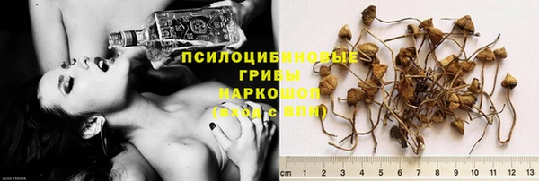 ECSTASY Дмитровск