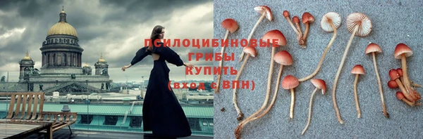 МДМА Ельня