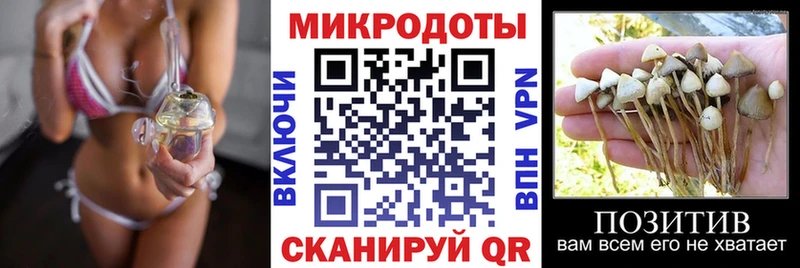 Псилоцибиновые грибы ЛСД  где купить наркоту  Зерноград 