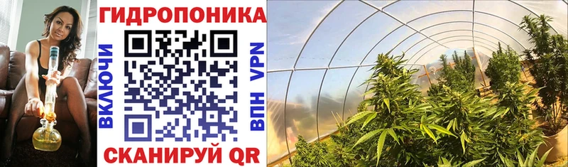Конопля Ganja  Зерноград 